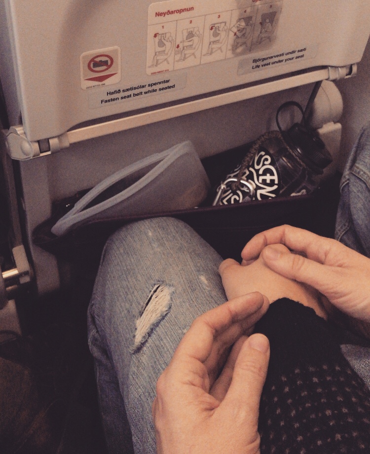 Stasher bag in a plane seat-back pocket
