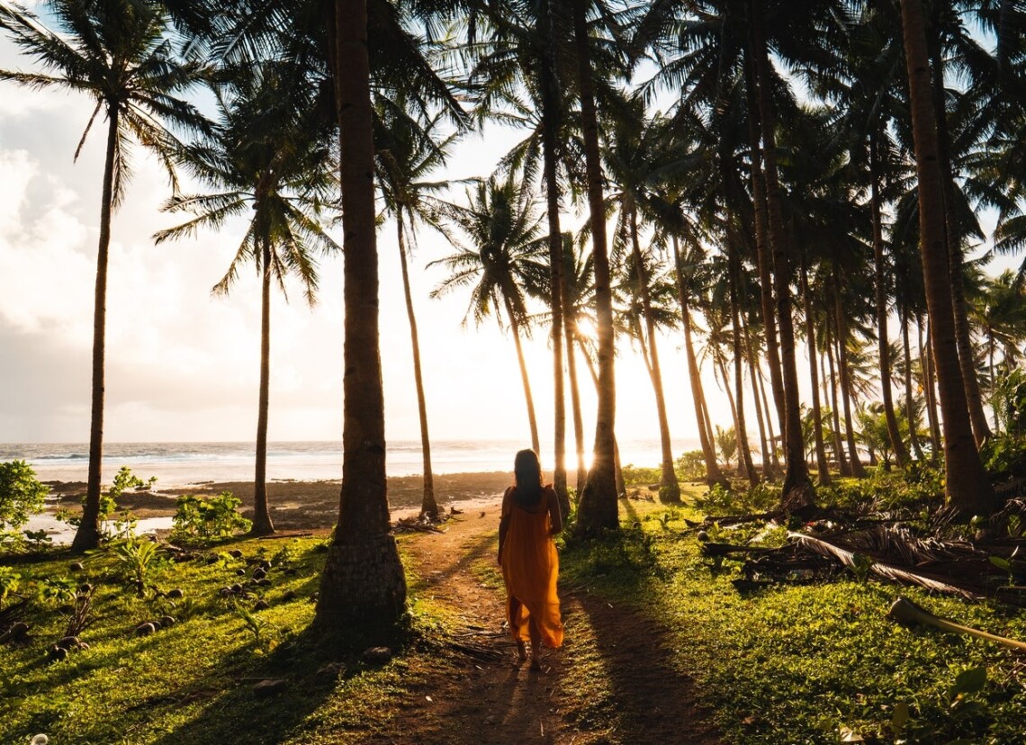 A woman in a dress walks down a path between palm trees towards a sunset. Her back is facing the camera