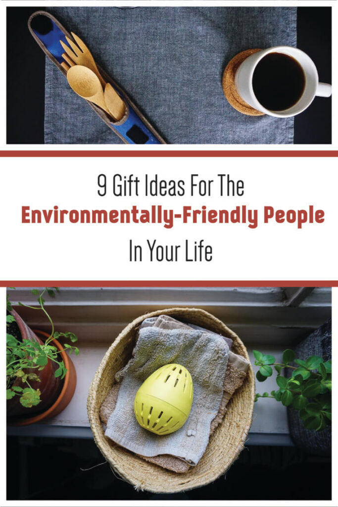 The EcoEgg and a set of bamboo utensils with the text "enviormentally-friendly gift ideas"
