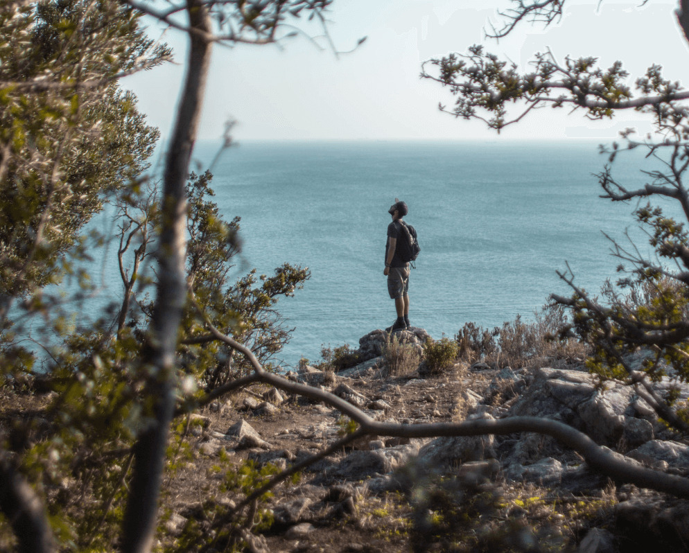 A man stands on rocks in front of the ocean, looking up thoughtfully. Trees are blurred in the foreground