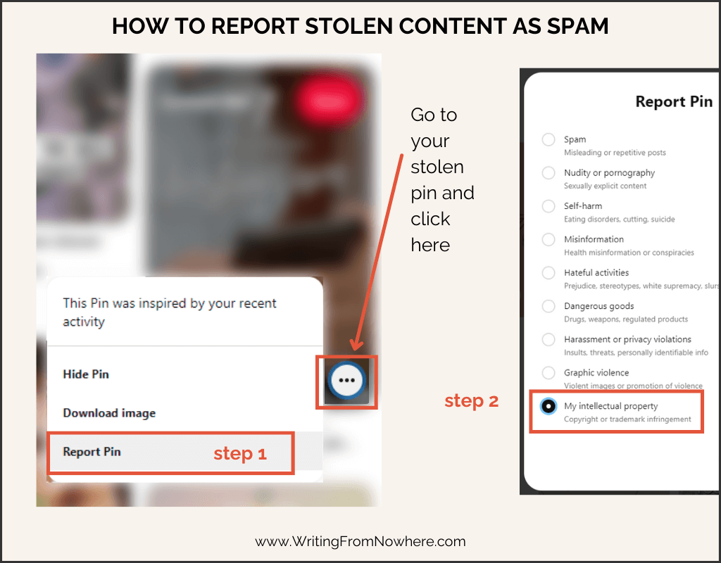Screenshot showing how to report stolen pins