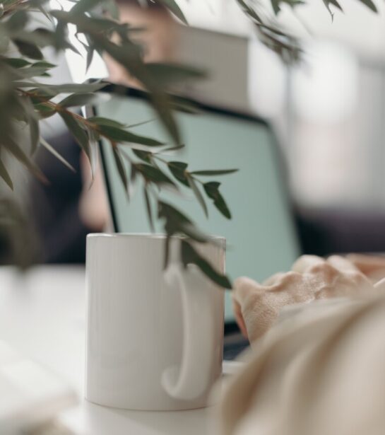A houseplant drapes in front of a coffee mug and a laptop. A woman types on the laptop, but you can only see her hands. The background is blurred